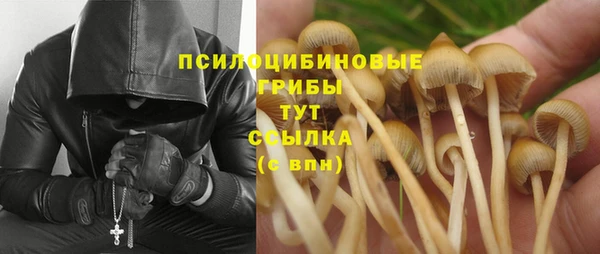марки lsd Абаза
