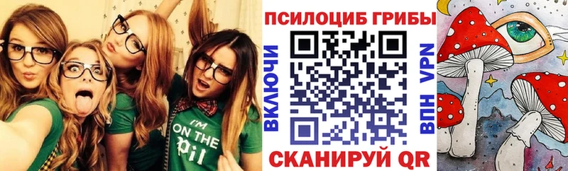 где купить наркоту  Краснозаводск  Галлюциногенные грибы мицелий 
